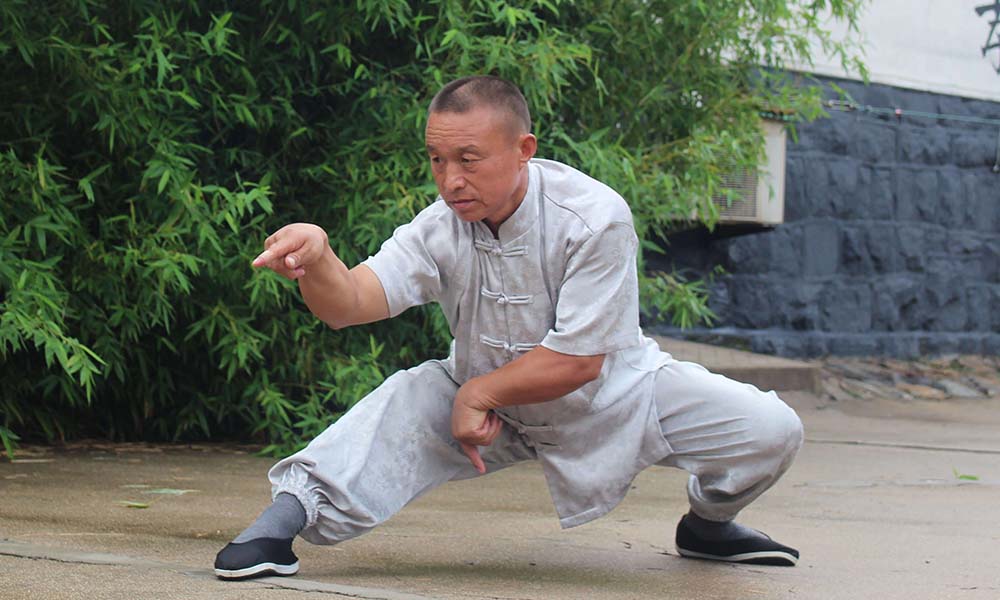 Master XU   Tianmeng Mountain Qigong and Kungfu School